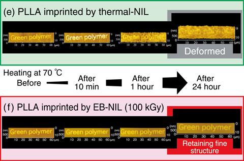 Fig.5-16　Thermal durability of PLLA imprinted pattern using conventional and EB nanoimprint lithography methods.