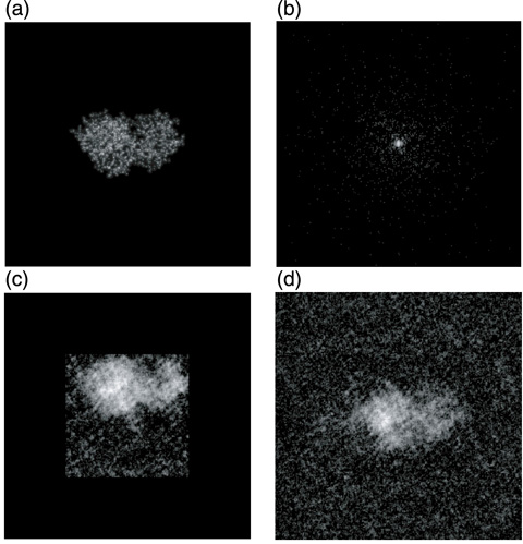 Fig.5-22　Electron density of a lysozyme protein and the diffraction image