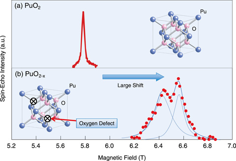 Fig.7-3　239Pu NMR signals observed for the first time in the world