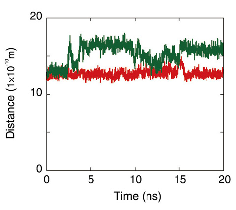 Fig.8-19　Time dependence of the distance between the tips of loop A and loop B