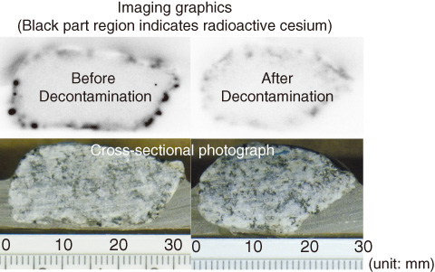 Fig.1-10　Distribution state of radioactive cesium before and after testing