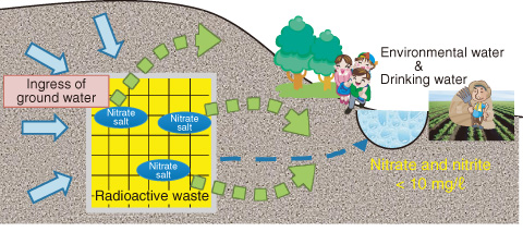 Fig. 10-2　Effect of buried radioactive waste including nitrate salts