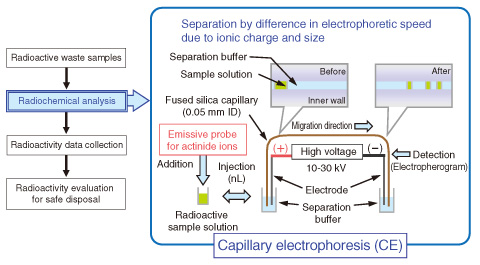 Fig.10-4　Development of a simple and rapid analytical method using capillary electrophoresis