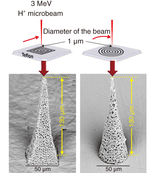 Fig.13-19　Microstructures on Teflon surfaces fabricated with scanned MeV H+ microbeams