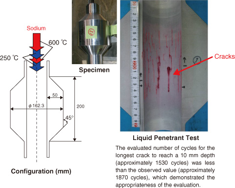 Fig.2-10　Example of structural test of Mod. 9Cr-1Mo steel using sodium