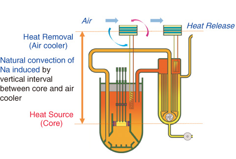 Fig.2-3　Decay heat removal with natural convection in SFR
