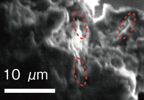 Fig.3-16　SEM image of sample M403.7R from fault gauge in Toki granite