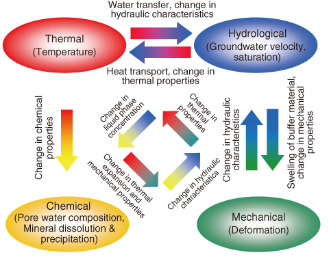 Fig.3-17　Conceptual model of coupled processes in near-field 