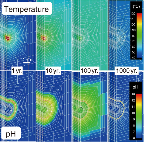 Fig.3-19　Analyzed example: evolution of temperature and pH in the near-field