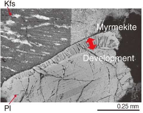 Fig.3-3　Micrometer-scale texture (myrmekite) indicative of cooling process of pluton