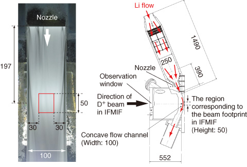 Fig.4-12　Picture of Li target flow and cross-sectional view of Li flow path (unit: mm)