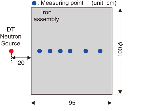 Data for neutrons and gammas were measured inside an iron assembly 100 cm in diameter and 95 cm in thickness.