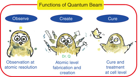 Fig.5-1　Characteristics of quantum beams