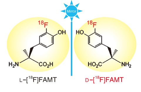 Fig.5-7　Structure of L-[18F]FAMT and D-[18F]FAMT