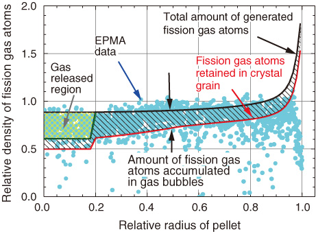 Fig.6-4　Distributions of densities of fission gas in the radial direction of fuel pellet