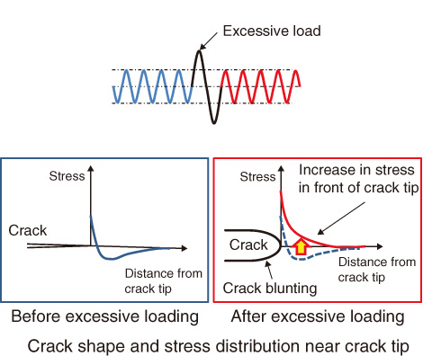 Fig.6-5　Stress distribution shift and crack blunting at crack tip under large seismic loading