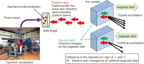 Fig.7-11　Evaluation of electron spins of iron sample using spin-polarized positron beam