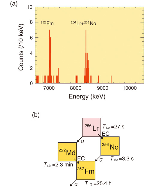 Fig.7-6　(a) Measured α-particle spectrum of mass-separated ions with mass number A = 256. (b) Decay scheme of 256Lr (T1/2: half-life, α: α-decay, EC: electron capture)
