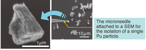 Fig.8-19　Pu particles prepared from a Pu reference solution