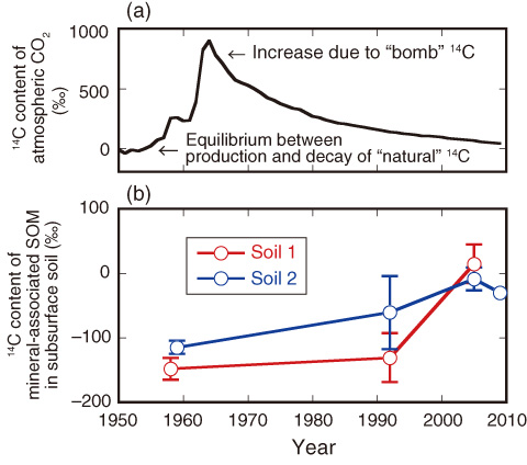Fig.8-23　Carbon-14 content of atmosphere and subsurface soils