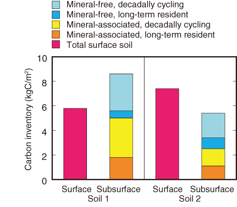 Fig.8-24　Stock and turnover of C in subsurface soils