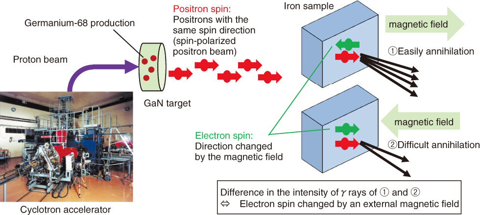 Fig.7-11　Evaluation of electron spins of iron sample using spin-polarized positron beam