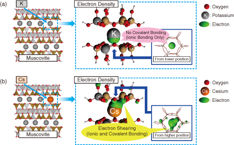 Fig.1-15　Model of clay minerals and electron density 