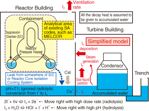 Fig.1-37　Schematic of contaminated water accumulation in the basements of reactor building and turbine building and the release from the accumulated water considered in present simplified model