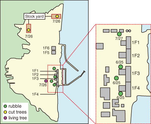 Fig.1-44　Sampling locations of rubble and trees