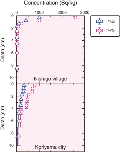 Fig.1-9　Depth distributions of radioactive Cs in the soils