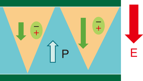 Fig.5-14　Defect-induced polarization reversal