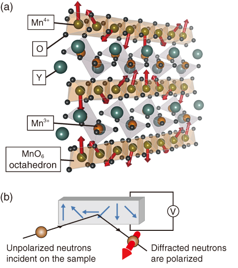 Fig.5-15  Cycloidal structure of YMn2O5 and experimental set-up