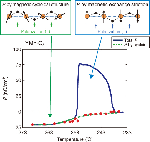 Fig.5-16  Polarization (P) in YMn2O5