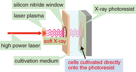 Fig.5-23　Conceptual design of the laser plasma soft X-ray microscope