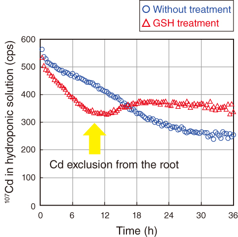 Fig.5-27　Time course of 107Cd radioactivity in solution