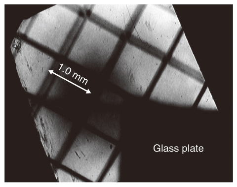 Fig.5-33　Image of a metal mesh composed of 100-μm-thick wires spaced by 1 mm, illuminated by ultra-violet light that shone through an 8-mm-thick sodium sample