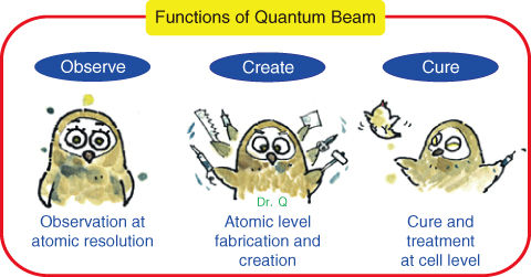 Fig.5-5　Characteristics of quantum beams