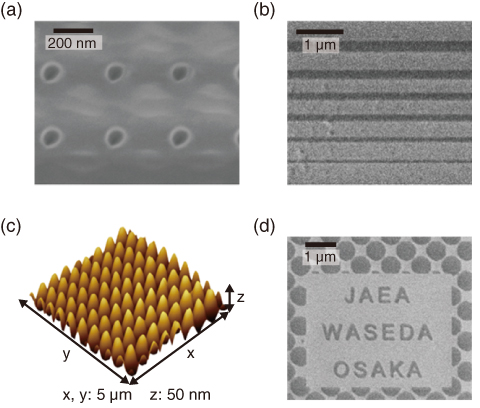 Fig.5-6　Microfabricated poly (L-lactic acid) using focused ion beam