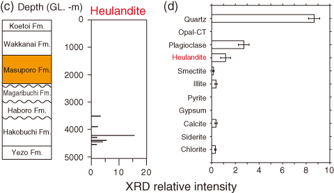 Fig.8-16　Abundances of minerals as a function of depth: (c) heulandite from a report on Tempoku Drilling (JNOC, 1995) and (d) data from the present study