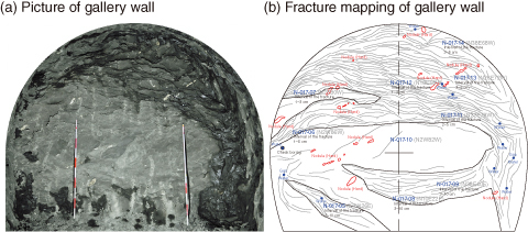 Fig.8-17　Example of fractures induced by gallery excavation
