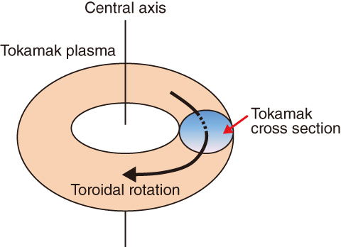 Fig.9-21　Schematic of the tokamak plasma and toroidal rotation