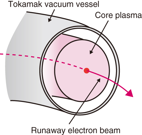 Fig.9-23　Schematic of core plasmas and the runaway electron beam 