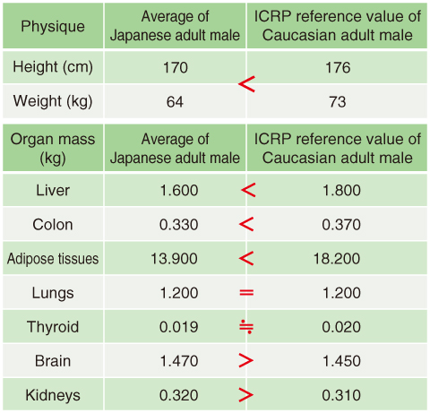 Table 4-1　Averages of Japanese and reference values of Caucasians for physiques and organ masses in adult male