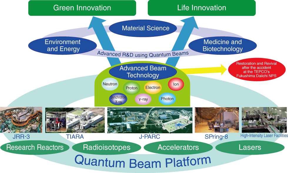 Fig.5-4　Quantum beam facilities and research system for quantum beam science and technology in JAEA