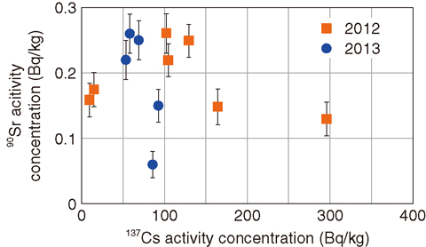 Fig.1-14 The relationship between 137Cs and <sup>90</sup>Sr concentrations in seabed sediments