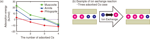 Fig.1-18 Cs adsorption energy of micaceous clay minerals