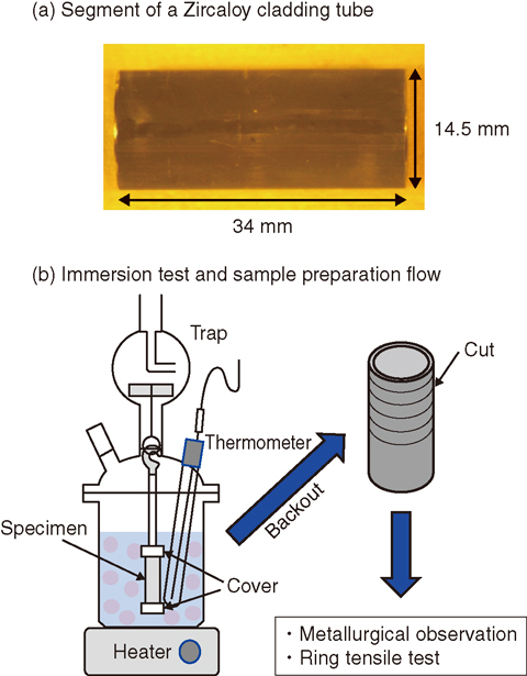 Fig.1-25 Immersion test procedure and sample preparation
