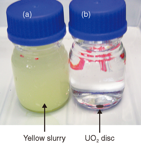 Fig.1-29 Yellow slurry of UO4?E4H2O and a UO2 disc in water 