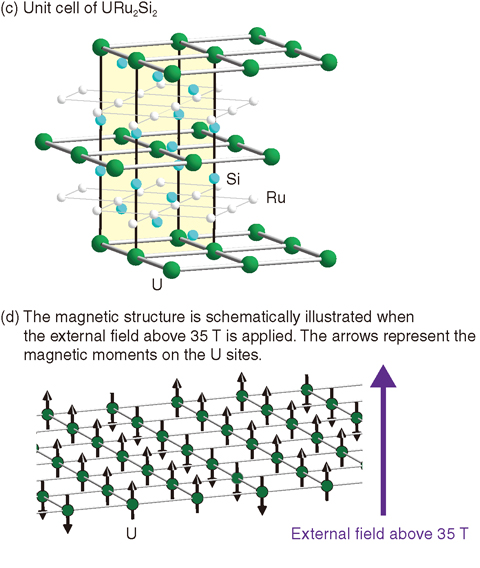 Fig.3-6 Crystal structure of URu2Si2 and the peculiar magnetic structure in the high field illustrated by the 29Si NMR technique 