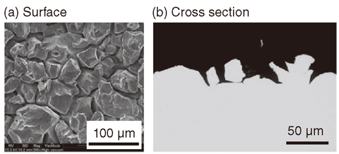 Fig.4-6 Intergranular corrosion of stainless steel in a nitric acid solution